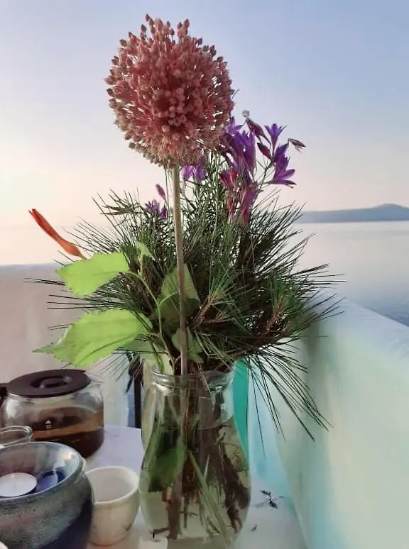 ベッド・アンド・ブレックファスト Villa Biser Mošćenička Draga